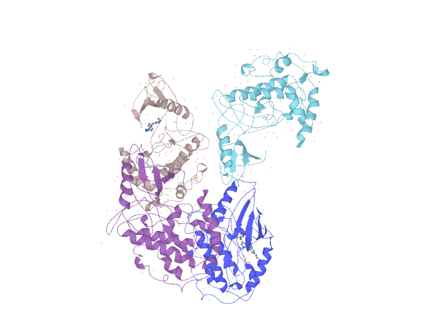 Protein 3D structure